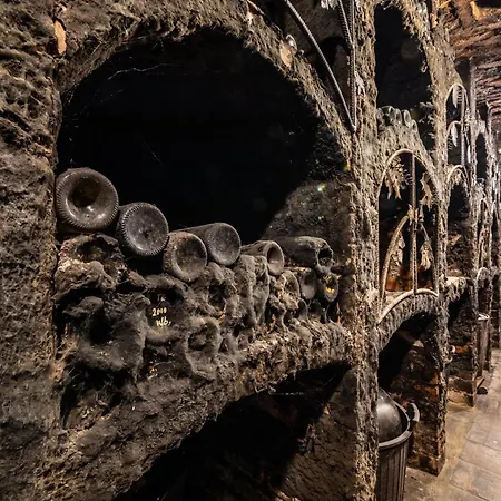 Rodinné Vinařství Turzík Habitación en casa particular