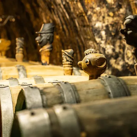 Vinařství Turzík Ubytování v soukromí Mutěnice